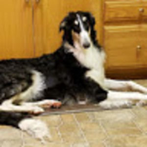 Meet your Posher, Pascale